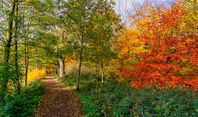 A la découverte de la Région Bretagne